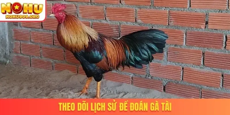 Theo dõi lịch sử để đoán gà tài