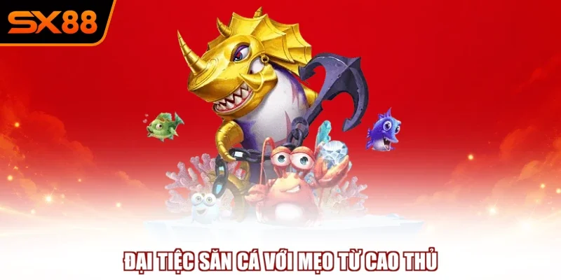 Đại tiệc săn cá với mẹo từ cao thủ